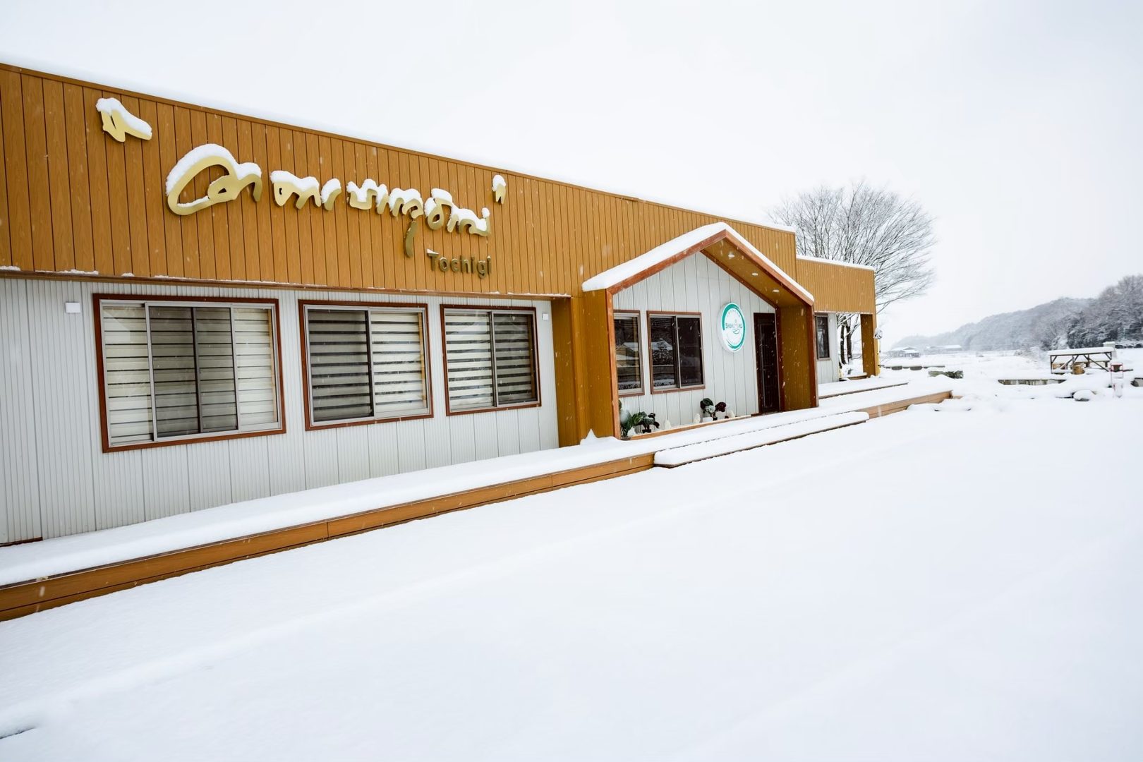 วัดพระธรรมกายโทชิหงิ