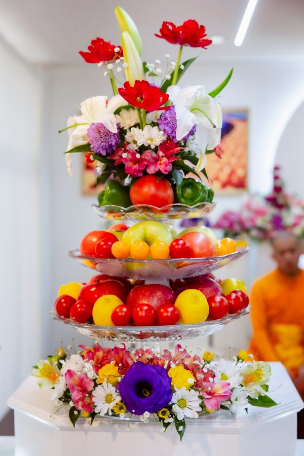 ปล่อยสัตว์ 3