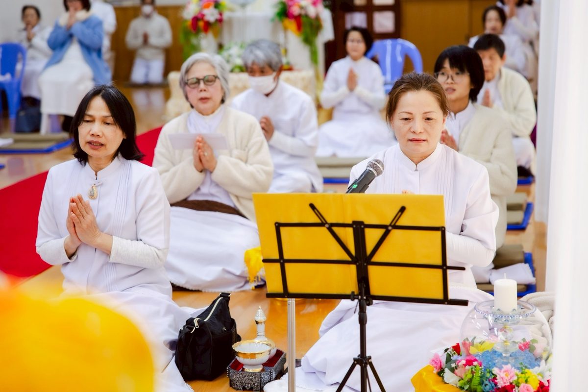 ปล่อยสัตว์ 4