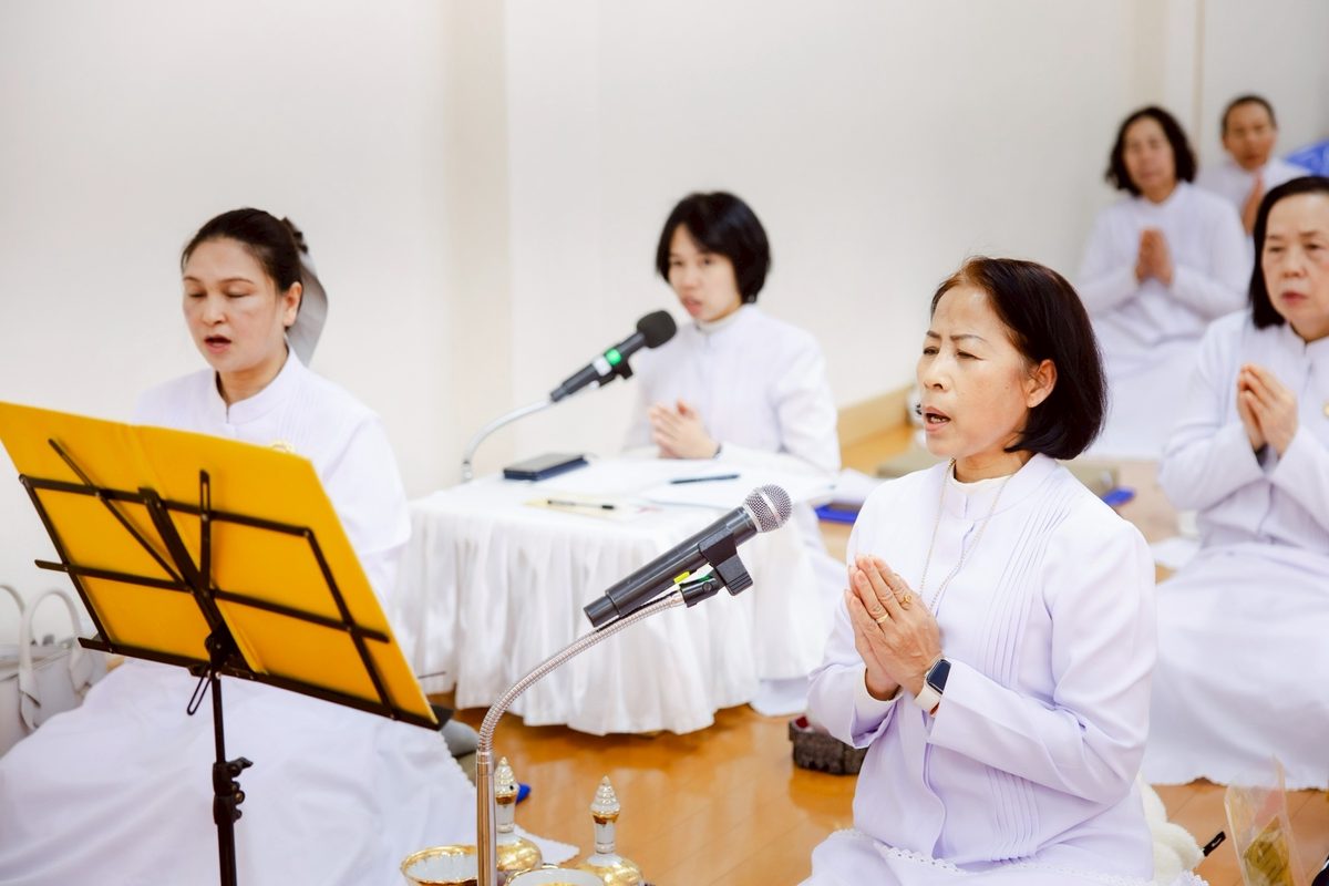 ปล่อยสัตว์ 2