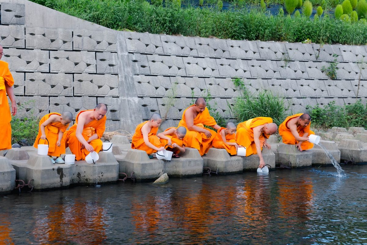 ปล่อยสัตว์ 6