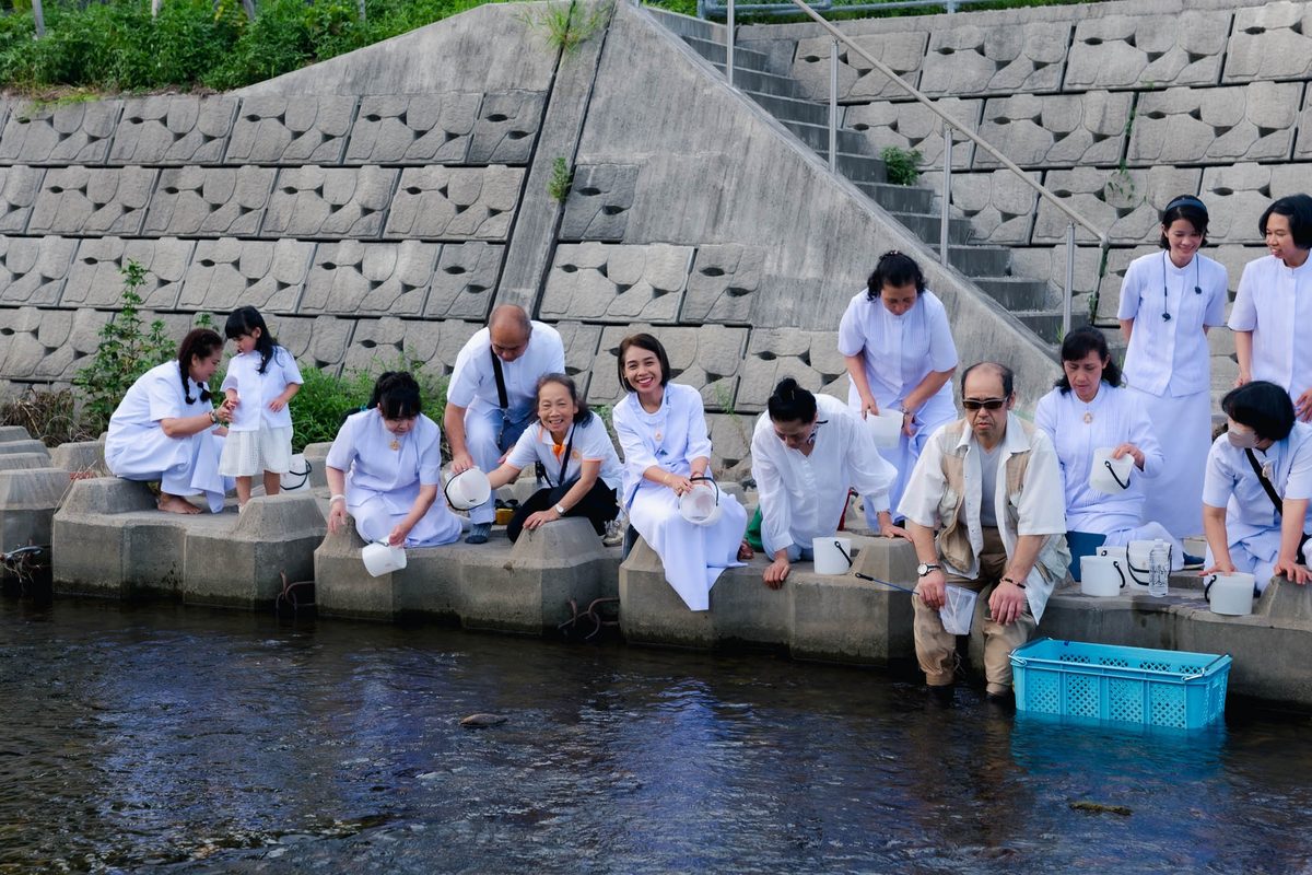 ปล่อยสัตว์ 7